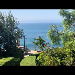 Meet your Posher, Elyse